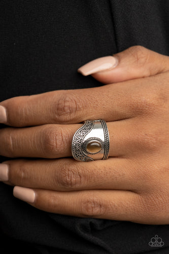 Dreamy Definition- Brown and Silver Ring- Paparazzi Accessories