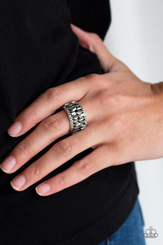 Treasure Trove Tribute- Silver Ring- Paparazzi Accessories