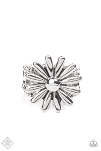 Growing Steady- Silver Ring- Paparazzi Accessories